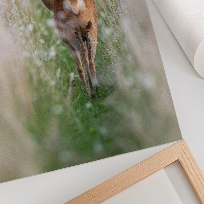 Wandposter Rehe vor dem Hintergrund von Naturharmonie und Naturfrieden
