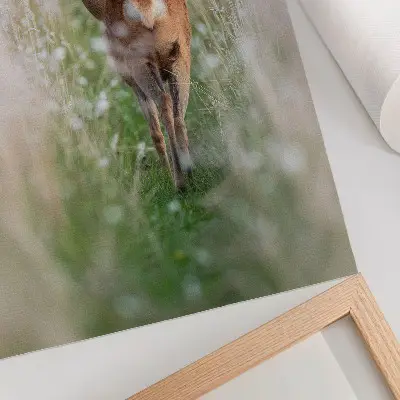 Wandposter Rehe vor der Kulisse von Naturharmonie und Naturfrieden