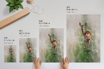 Wandposter Rehe vor dem Hintergrund von Naturharmonie und Naturfrieden