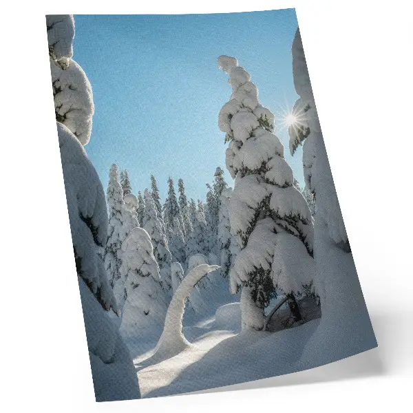 Poster mit schneebedeckten Bäumen unter blauem Himmel bei Sonnenschein