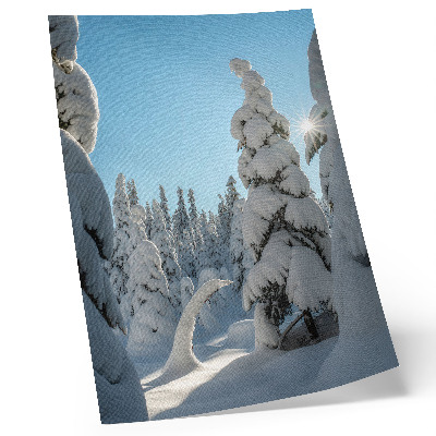 Poster Schneebedeckte Bäume, blauer Himmel, Sonnenschein