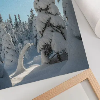 Poster mit schneebedeckten Bäumen unter blauem Himmel bei Sonnenschein