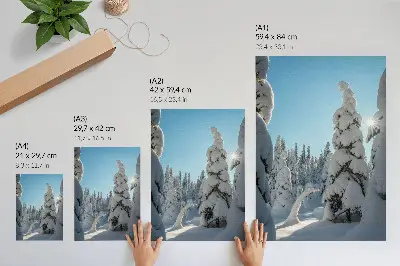 Poster mit schneebedeckten Bäumen unter blauem Himmel bei Sonnenschein