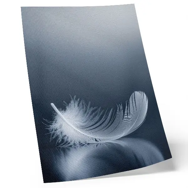 Poster weiße Feder auf grauem Hintergrund als Symbol für Frieden und Harmonie