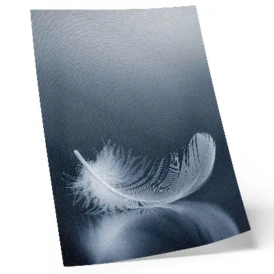 Poster weiße Feder auf grauem Hintergrund als Symbol für Frieden und Harmonie