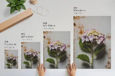 Poster mit Rosa Hortensienblättern auf rustikalem Hintergrund