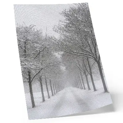 Poster symmetrische Allee aus Winterbäumen mit Schnee und Nebel
