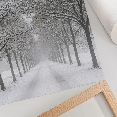 Poster symmetrische Allee aus Winterbäumen mit Schnee und Nebel