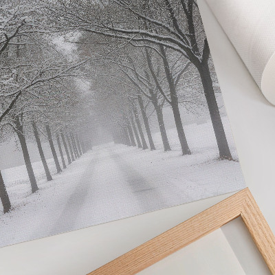 Poster Symmetrische Allee aus Winterbäumen, Schnee, Nebel