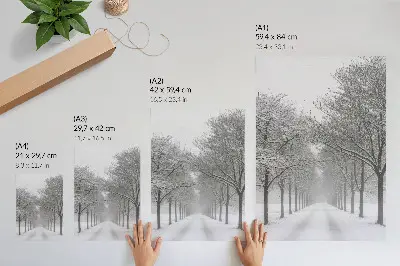 Poster symmetrische Allee aus Winterbäumen mit Schnee und Nebel