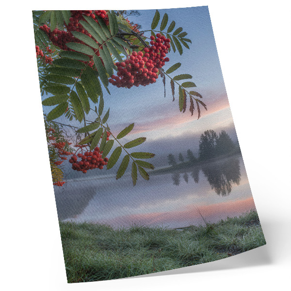 Poster See am Morgen, Eberesche, zarter Nebel, Natur