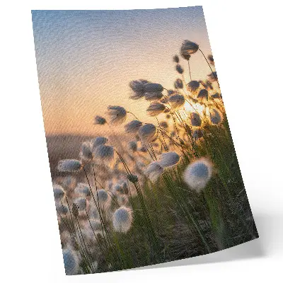 Kunstdruck auf Leinwand mit Gräsern im Sonnenuntergang in warmen Farben für eine natürliche Atmosphäre
