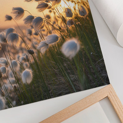 Kunstdruck leinwand Gräser im Sonnenuntergang, warme Farben, Natürlichkeit