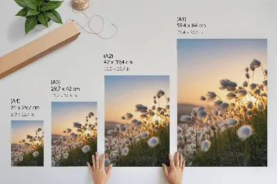 Kunstdruck auf Leinwand mit Gräsern im Sonnenuntergang in warmen Farben für eine natürliche Atmosphäre