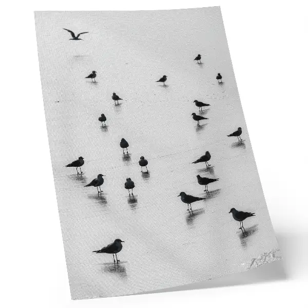 Leinwand Kunstdruck Vögel über dem Wasser mit subtilen Spiegelungen im minimalistischen Stil