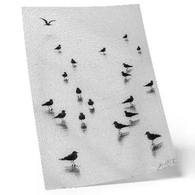 Leinwand Kunstdruck Vögel über dem Wasser mit subtilen Spiegelungen im minimalistischen Stil