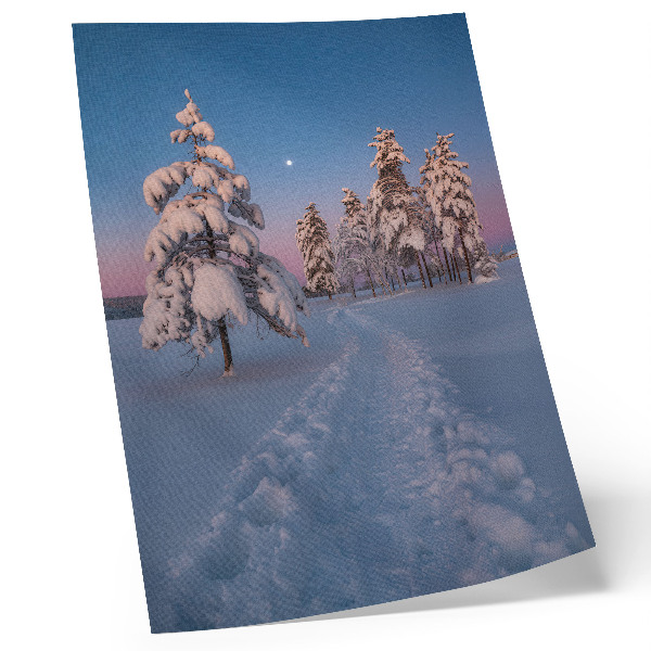 Wandposter Winterlandschaft mit schneebedeckten Bäumen und dem Mond