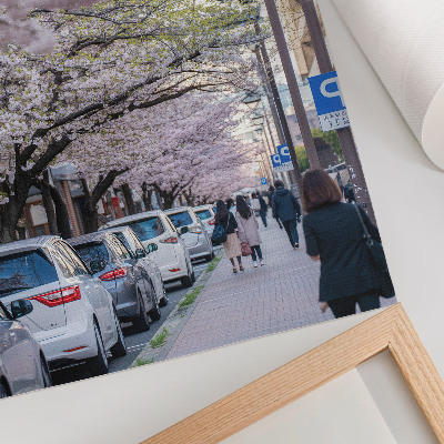 Kunstdruck leinwand Eine Straße mit Kirschblüten und geparkten Autos