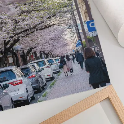 Leinwand-Kunstdruck mit Motiv einer Straße mit Kirschblüten und geparkten Autos