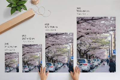 Kunstdruck leinwand Eine Straße mit Kirschblüten und geparkten Autos