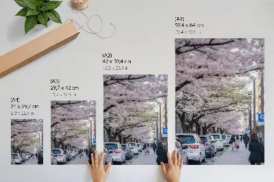 Leinwand-Kunstdruck mit Motiv einer Straße mit Kirschblüten und geparkten Autos