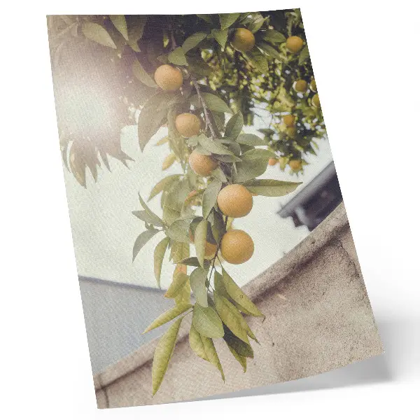 Poster Baumzweig mit sonnengrünen Blättern und orangen Akzenten