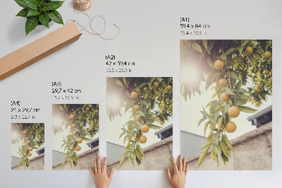 Poster Baumzweig, sonnengrüne Blätter, orangefarbene
