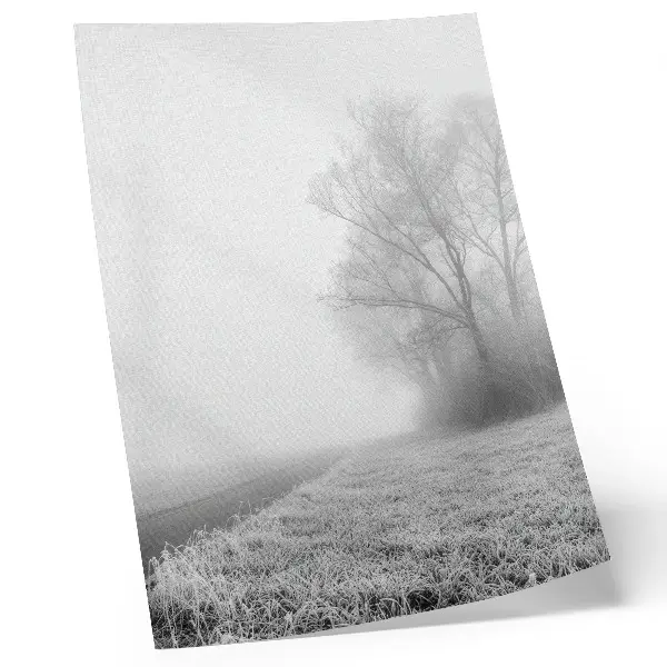 Kunstdruck auf Leinwand mit sanftem Nebel in einer friedlichen winterlichen Waldlandschaft
