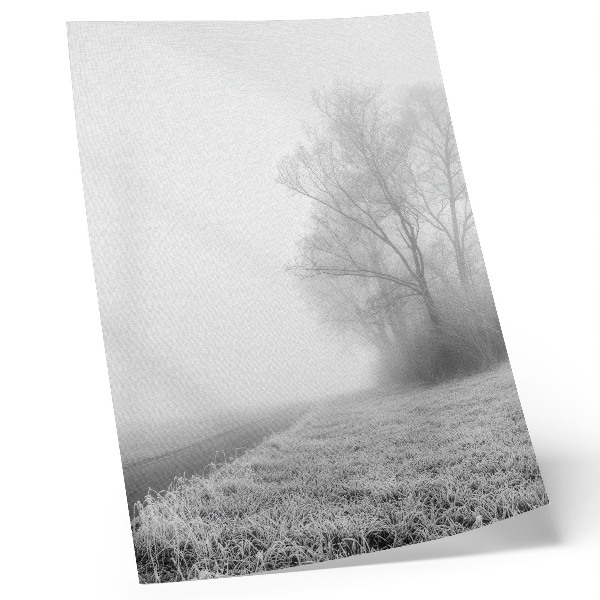 Kunstdruck leinwand Sanfter Nebel, Bäume, Winterlandschaft, friedliche Atmosphäre