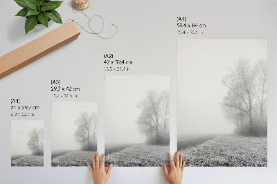 Kunstdruck leinwand Sanfter Nebel, Bäume, Winterlandschaft, friedliche Atmosphäre