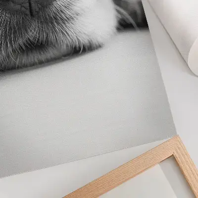 Kunstdruck auf Leinwand nahaufnahme eines Hundes mit minimalistischer Schwarz-Weiß-Textur