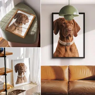 Hundehalskette elegantes Modell mit luxuriöser Verarbeitung
