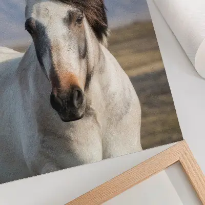 Wandposter natürliche Schönheit eines Pferdes vor Bergkulisse in ruhiger und schlichter Darstellung