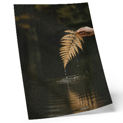 Poster Farn über dem Wasser, harmonische Tropfen, Spiegelung