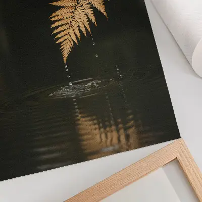 Poster Farn über dem Wasser mit harmonischen Tropfen und Spiegelung