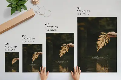 Poster Farn über dem Wasser mit harmonischen Tropfen und Spiegelung