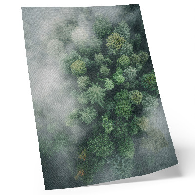 Poster Grüne Bäume, umhüllt von einem zarten weißen Nebel
