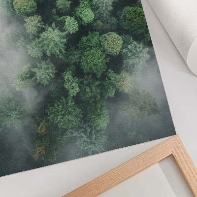 Poster Grüne Bäume, umhüllt von einem zarten weißen Nebel