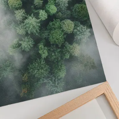 Poster grüne Bäume umhüllt von zartem weißem Nebel