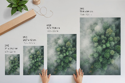 Poster Grüne Bäume, umhüllt von einem zarten weißen Nebel
