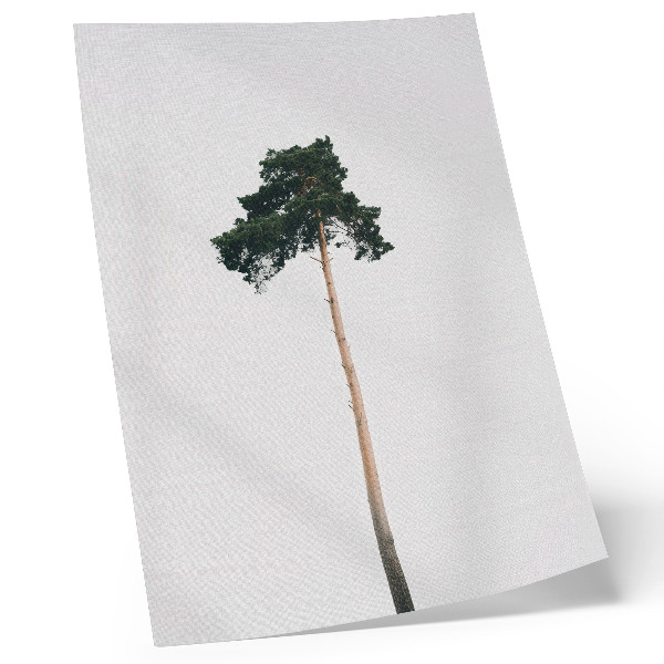Poster Ein einsamer Baum vor hellem Hintergrund mit minimalistischem Design