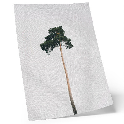 Poster Ein einsamer Baum vor hellem Hintergrund mit minimalistischem Design