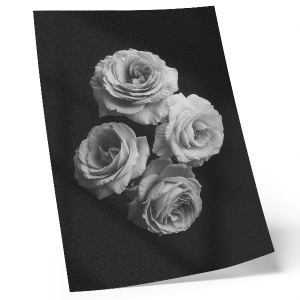 Kunstdruck leinwand Schwarz-weiße Rosen – Minimalismus, klassische Eleganz