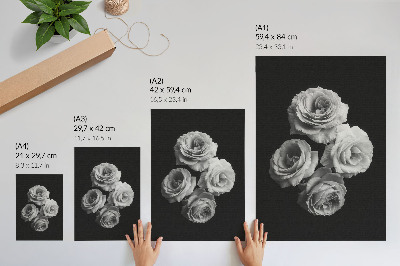Kunstdruck leinwand Schwarz-weiße Rosen – Minimalismus, klassische Eleganz