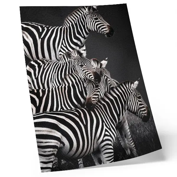 Wandposter mit kontrastreichen vertikalen Zebra-Streifen in Schwarz und Weiß