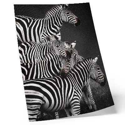 Wandposter mit kontrastreichen vertikalen Zebra-Streifen in Schwarz und Weiß