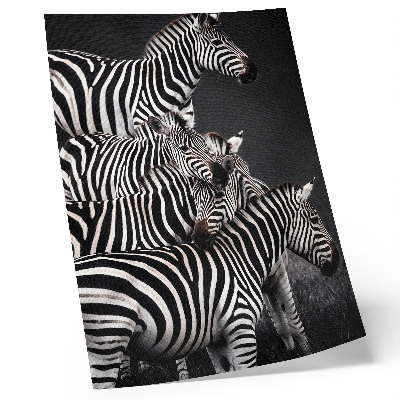 Wandposter Zebra-Kontrastlinien aus schwarzen und weißen vertikalen Linien