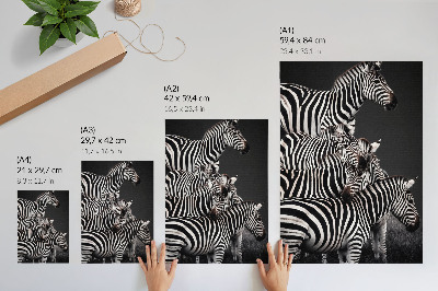 Wandposter Zebra-Kontrastlinien aus schwarzen und weißen vertikalen Linien