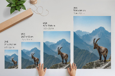 Poster Steinbock vor der Kulisse der Berge, friedliche Harmonie der Natur