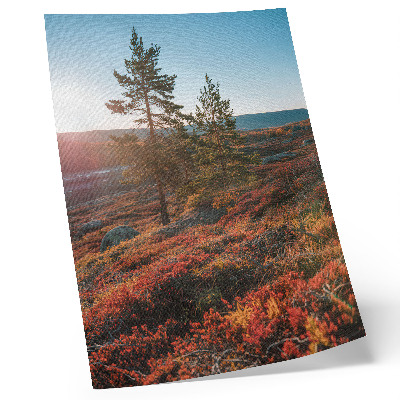 Kunstdruck leinwand Majestätische Bäume, warme Farben, friedliche Atmosphäre